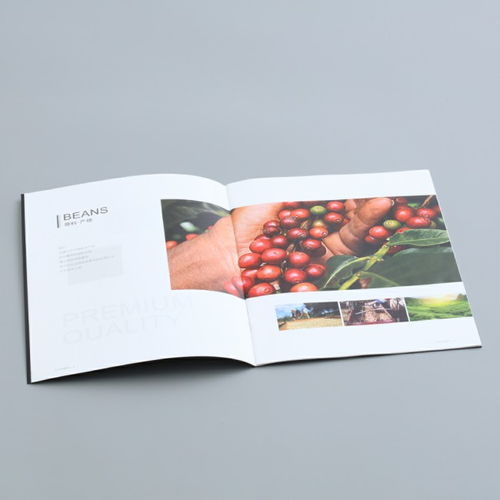 彩源印刷 值得信賴 圖 產(chǎn)品畫冊(cè)印刷公司 東莞產(chǎn)品畫冊(cè)印刷